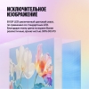 Вид 13